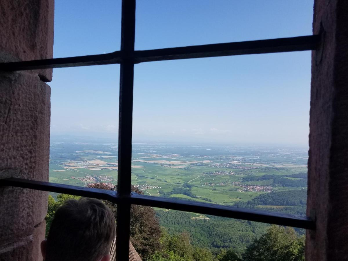 Ferienwohnung Sonnenschein ラインハウゼン エクステリア 写真