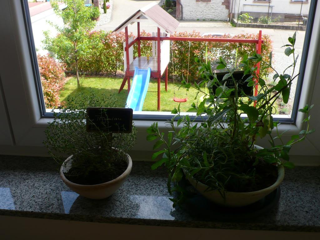 Ferienwohnung Sonnenschein ラインハウゼン エクステリア 写真